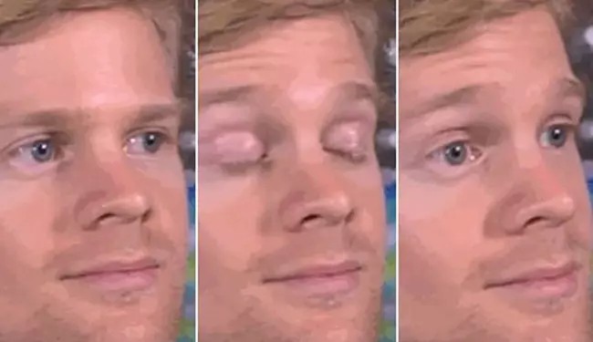 Deep fried no stress just vibing cat meme